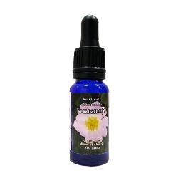 FLOR TRIUNIDAD - ESCARAMUJO LUZ 30 Ml.