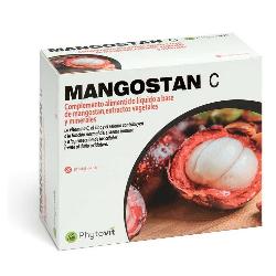 MANGOSTAN 20 Sticks