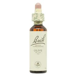 (23) OLIVE - 20 Ml. OLIVO