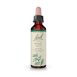 (15) HOLLY - 20 Ml. ACEBO