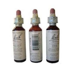 (30) SWEET CHESNUT - 20 Ml. CASTAÑO DULCE