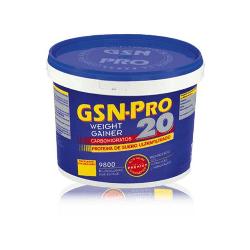 G.S.N. - PRO-20 - CHOCO. - 2,5 Kg.