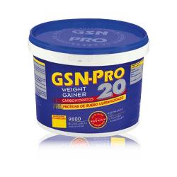 G.S.N. - PRO-20 - VAINILLA - 2,5 Kg