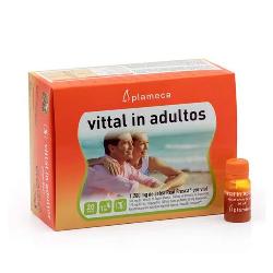 PLAMECA-VITTAL IN ADULTOS 20 Amp.