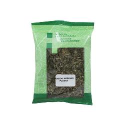 PLAMECA-PLANTA CARDO MARIANO TRITURADA 40GR