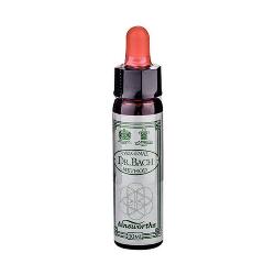 ***ST-BACH CHICORY 10 Ml. (ACHICORIA)