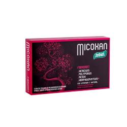 MICOXAN FIBROART
