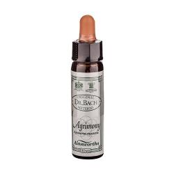 BACH ELM 10 Ml. (OLMO)