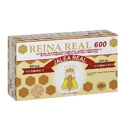 REINA REAL 600 - 20 AMP.