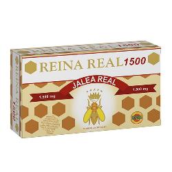 REINA REAL 1500 - 20 AMP.