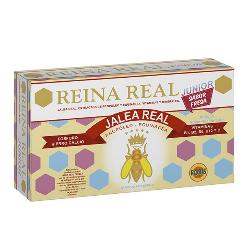 REINA REAL INFANTIL - JUNIOR - 20 AMP.