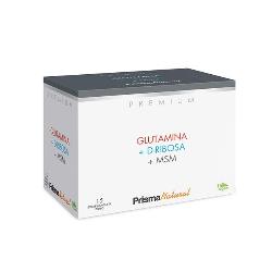 PREMIUM-GLUTAMINA+D-RIBOSA+MSM 15 STICKS