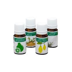 PLANTIS - ACEITE ESENCIAL CLAVO - 10Ml.