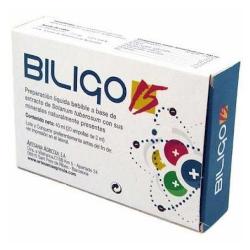 BILIGO 15 (LITIO) 20 Amp.