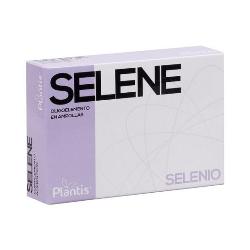 SELENE 20 Amp.