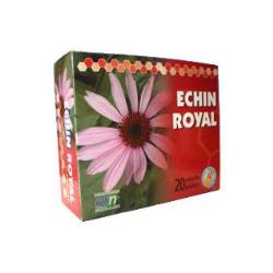 ECHIN ROYAL 20 Amp.