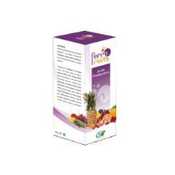 FERRO FRUITS JARABE 500 Ml.