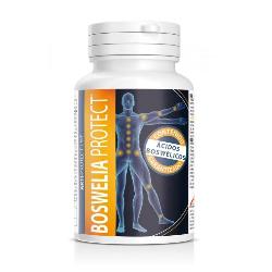 INTERSA-BOSWELIA PROTECT 500 Mg. 45 PERLAS