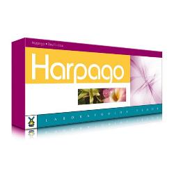 TEGOR - HARPAGO 20 VIALES X 10ML