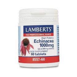 LAMBERT - EQUINACEA 1000 Mg. 60 Caps.