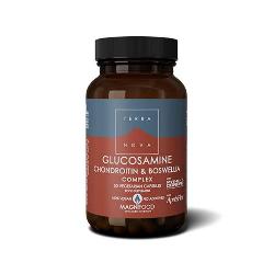 TERRANOVA - APOYO ARTICULAR 50 Caps. (GLUCOSAMINA,BOSWELIA,MSM)