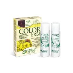 COLOR ERBE 13 - RUBIO COBRE DORADO