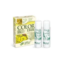 COLOR ERBE 19 - RUBIO SOL