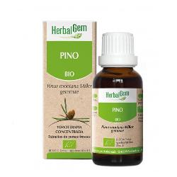 HERBALGEM-PINO 15 Ml. BIO