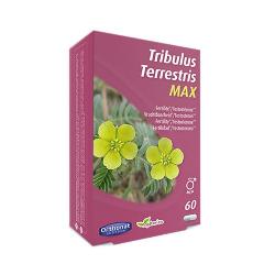 TRIBULUS 650 - 60 Caps.