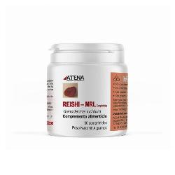 REISHI MRL 500 Mg 90 Comp. - ATENA