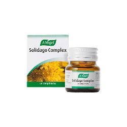 BIOFORCE-SOLIDAGO COMPLEX 60 Comp.