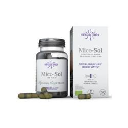 ***HT-MICO SOL (CHAMPIÑON DEL SOL) 30 Caps.