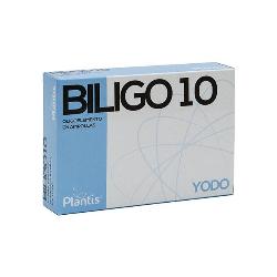 BILIGO 10 (YODO) 20 Amp.