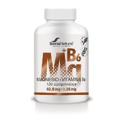 MAGNESIO + VIT B6 LIBERACION SOSTENIDA 120 Comp.