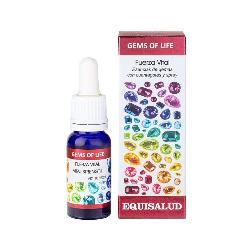 GEMS OF LIFE FUERZA VITAL 15 Ml.