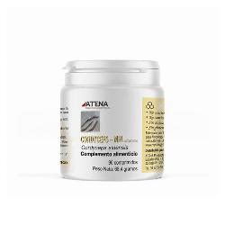 CORDYCEPS MRL 500 Mg 90 Comp. - ATENA