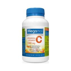 TEGOR - MEGAMOL VIT C 100 Caps.