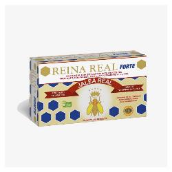 REINA REAL FORTE - 20 AMP.