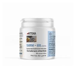 TRITON MRL 500 Mg 90 Comp. - ATENA