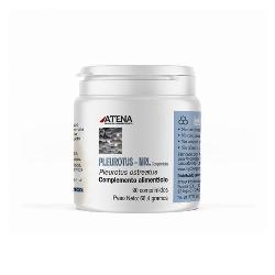 PLEUROTUS MRL 500 Mg 90 Comp. - ATENA