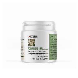 POLYROTUS MRL 500 Mg 90 Comp. - ATENA