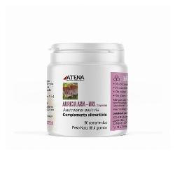 AURICULARIA MRL 500 Mg 90 Comp. - ATENA