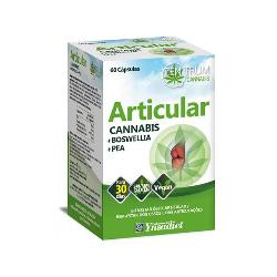 ARTICULAR ZEMTRUM CANNABIS 60 VCaps.