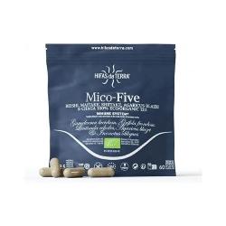 REFILLS MICO FIVE 60 Caps. BOLSA
