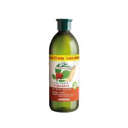 CHAMPU REFORZANTE GINSENG GINKGO BIO 300+300 Ml.