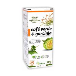 PINISAN - CAFE VERDE + GARCINIA 500 Ml.
