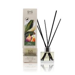  AMBIENTADOR MIKADO BOTANICAL HIGUERA-RAIZ ANGELICA 100 ML