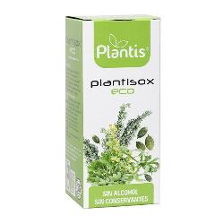 PLANTIS - PLANTISOX ECO LOMBRICES 250 ML JARABE S/ALC-S/AZUCAR