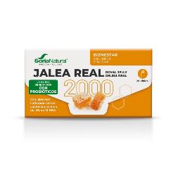 JALEA REAL 2000 Mg 20 VIALES