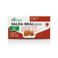JALEA REAL 5000 Mg 20 VIALES